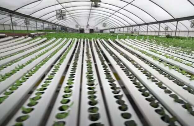 The Aquaponics Farming Revolution